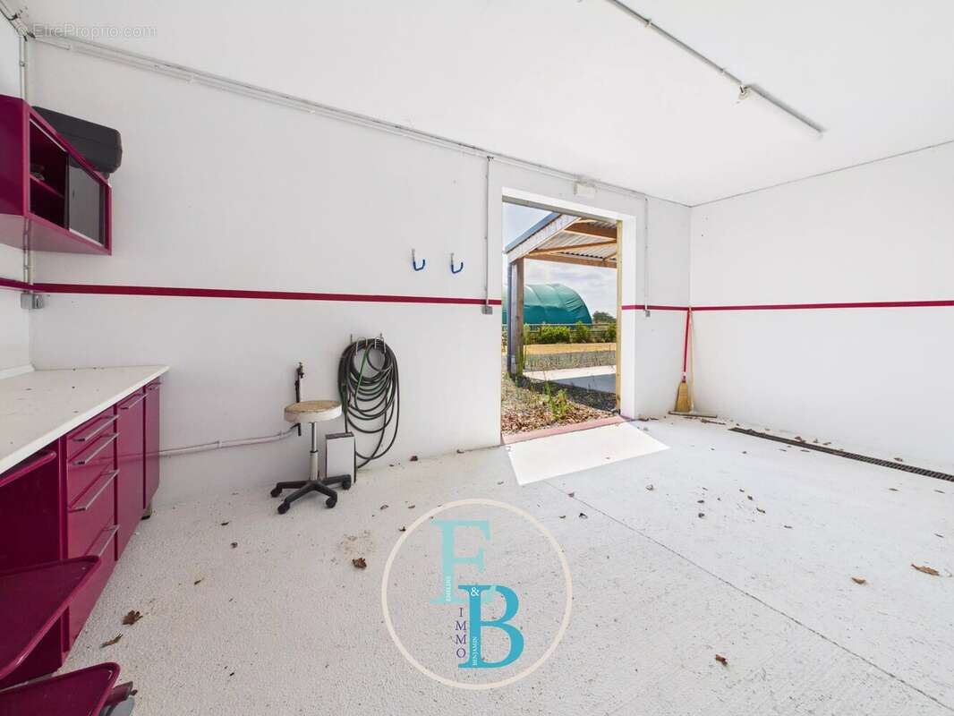 Grangues (pays d'auge) - centre d'entrainement et de reeducation equin avec balneotherapie - photo 13