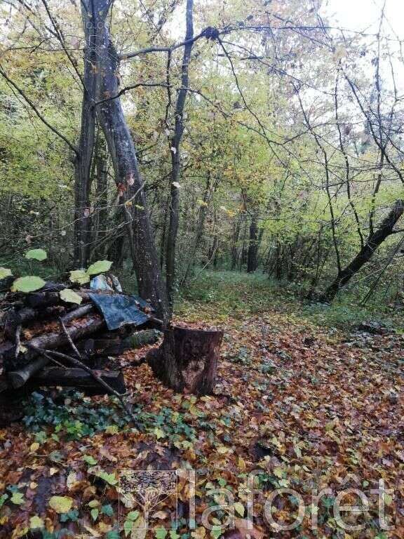 Terrain à NOISY-SUR-ECOLE
