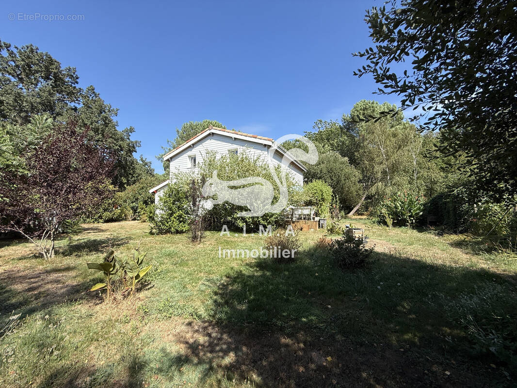 Mios, sur 2390m2 de jardin, belle maison 3 ch, beau séjour/cuisine lumineux, sdb, sde, deux wc, terrasses - photo 10