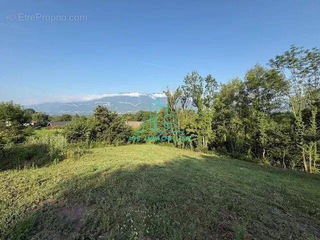 Terrain à LES MOLLETTES