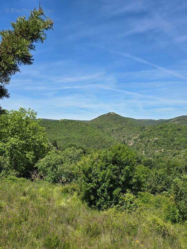  Terrain viabilisé 1792 m² - Permis accordé - Vue exceptionnelle - photo 5