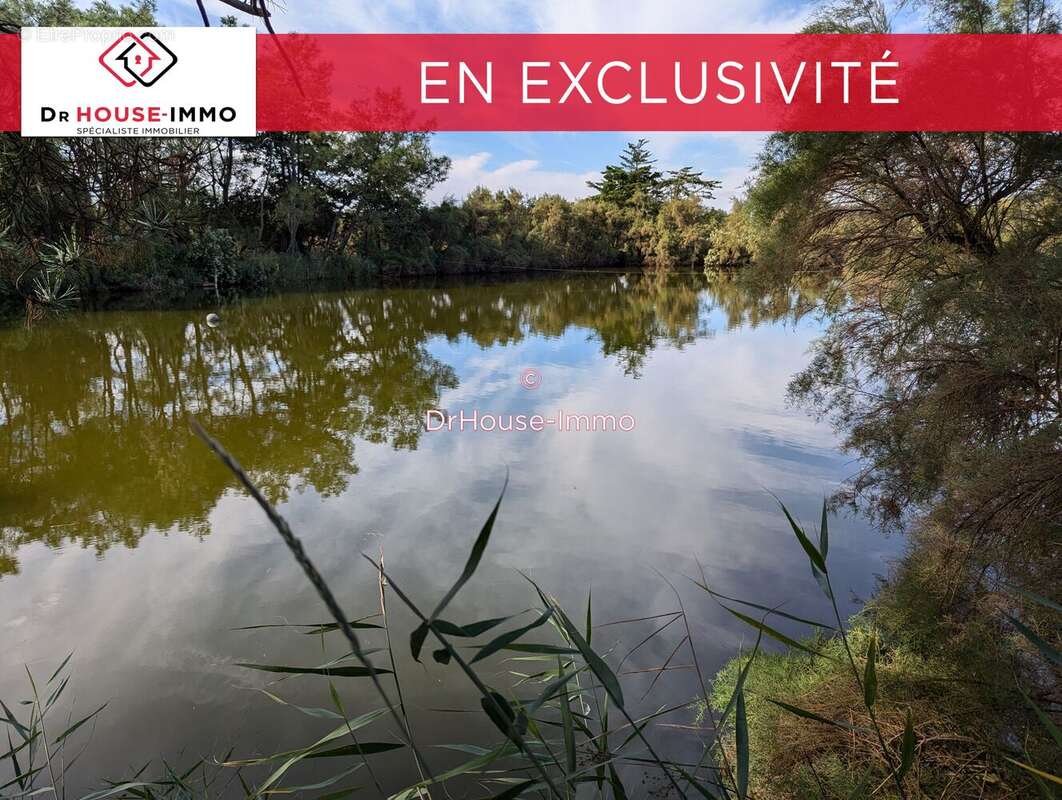 Terrain à L&#039;ILE-D&#039;OLONNE