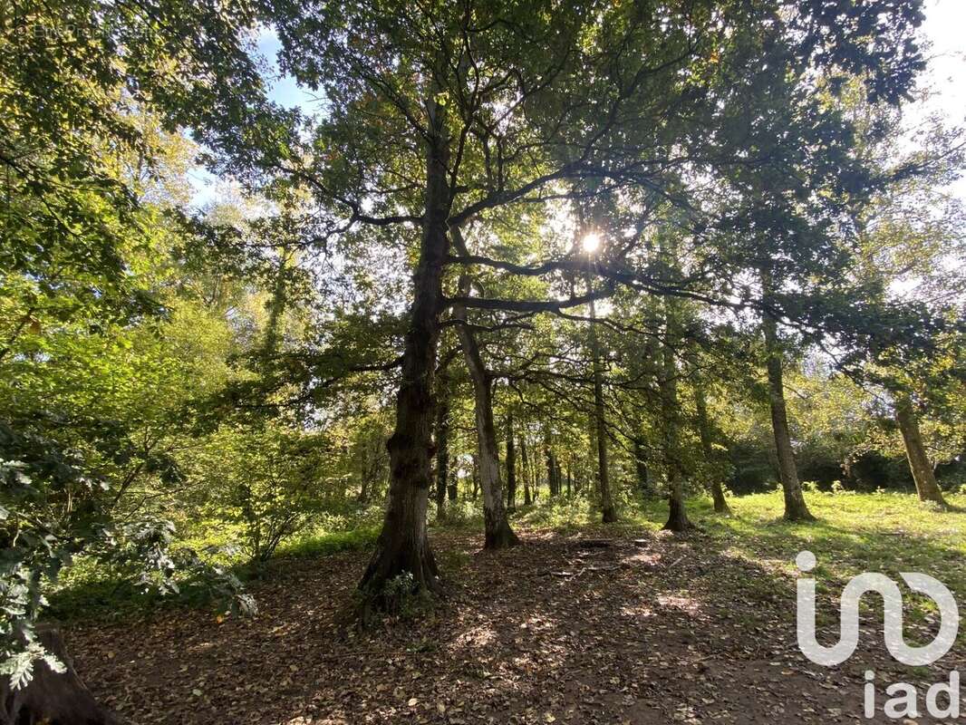 Photo 2 - Maison à PLEMET