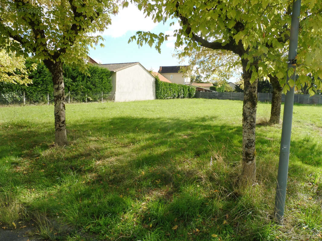 Terrain à RIBERAC