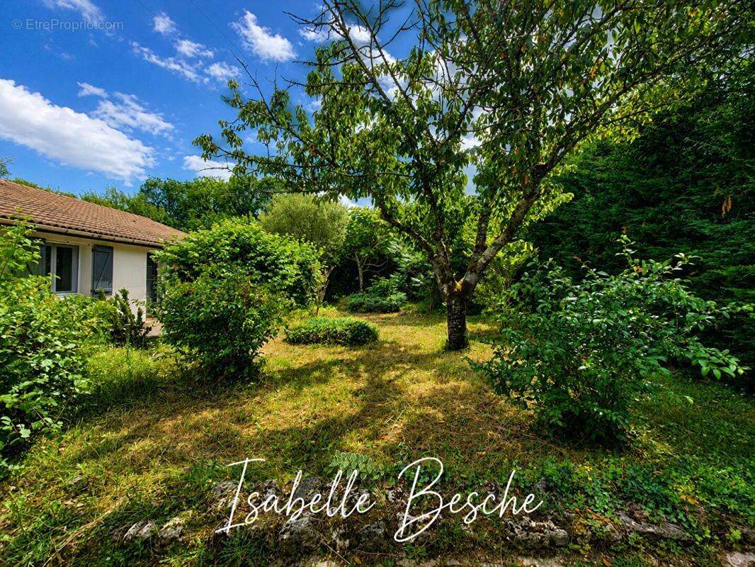 Baron- Maison familiale 4 chambres- Plain pied- Grand terrain arboré - photo 4