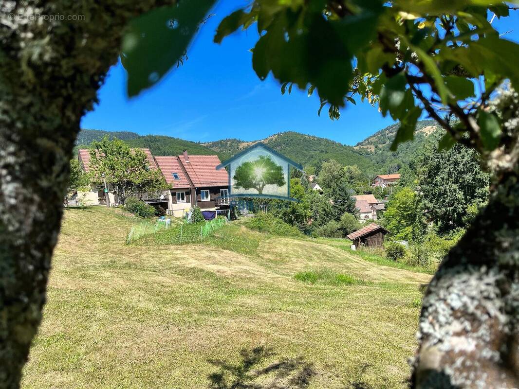 Terrain à BOURBACH-LE-HAUT