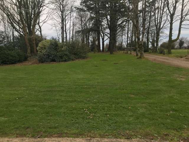 Belle maison de Maître - photo 7