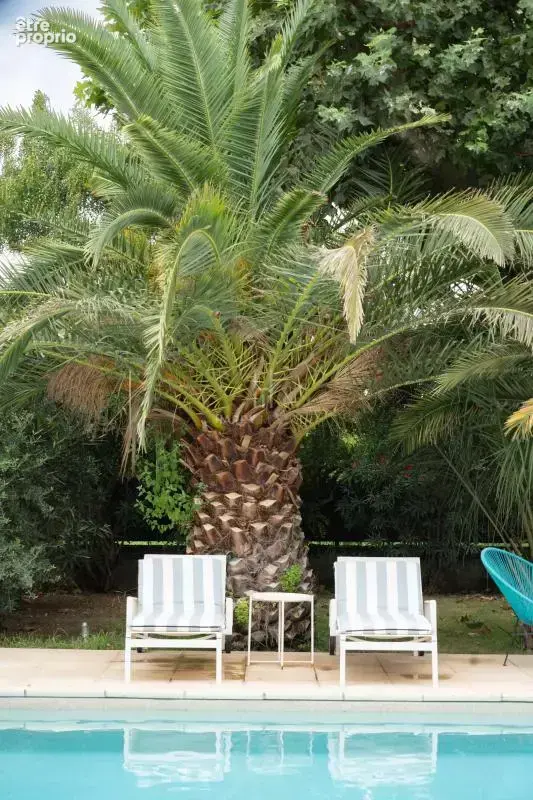 Rare : ensemble de 3 maisons à Noves - photo 11