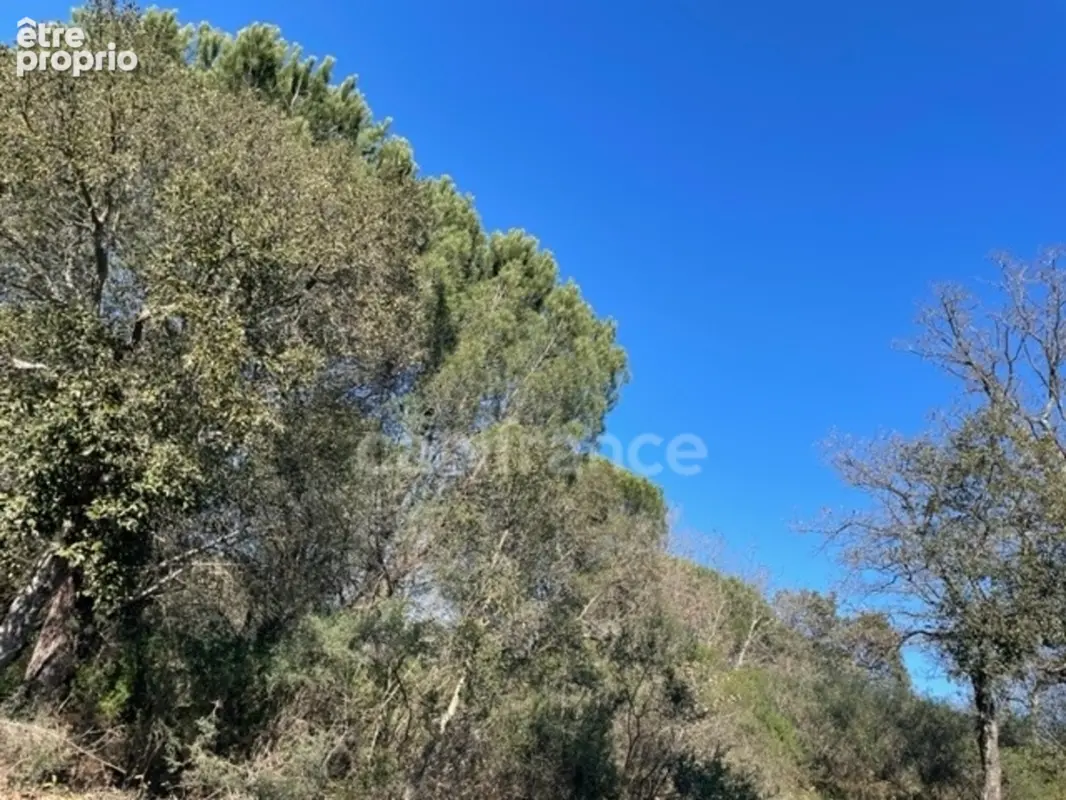 Var (83), à vendre GASSIN Terrain Agricole Zone AOC environ 17 000 m² (1 ha 7a) (31 euros/m2) - photo 3