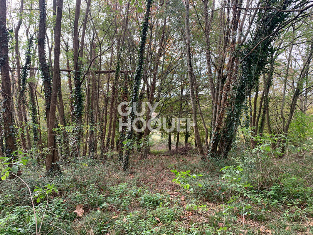 Maison à CASTILLON(CANTON D&#039;ARTHEZ-DE-BEARN)