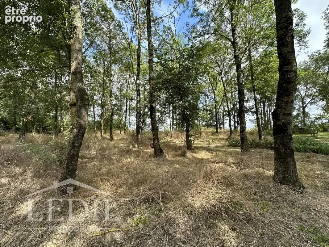 Magnifique terrain dans un milieu boisé - photo 8