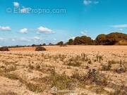 Terrain à PERPIGNAN