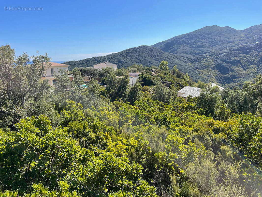 Terrain à SANTA-MARIA-DI-LOTA