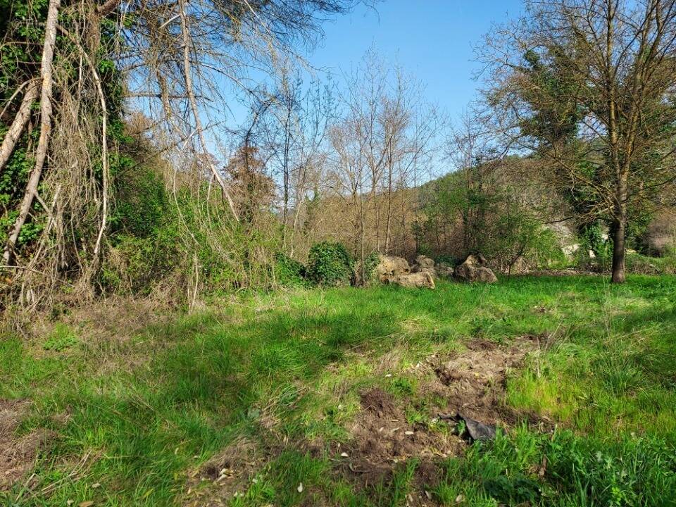 Terrain à BELGENTIER