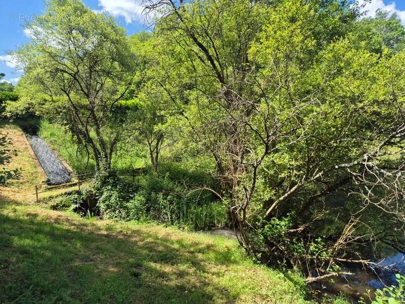 Terrain à PRESSIGNAC