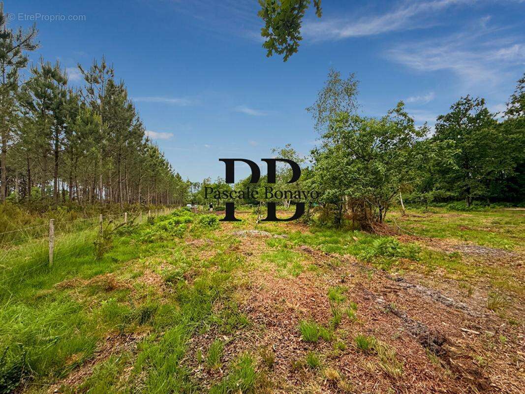Terrain à VENDAYS-MONTALIVET