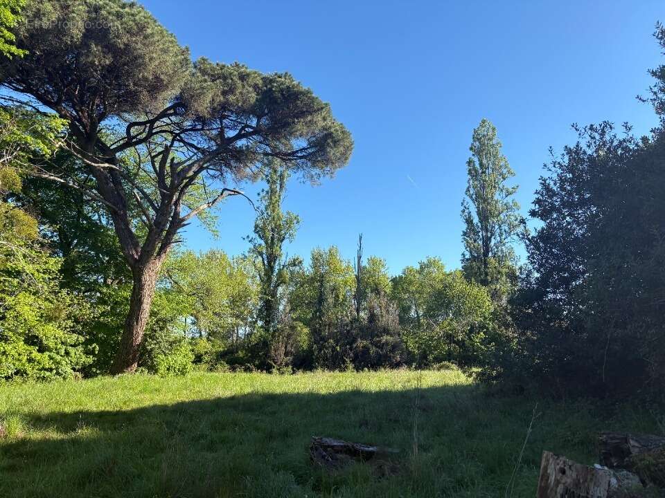 Terrain à LE POUT