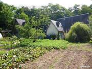 Terrain à MONTLHERY