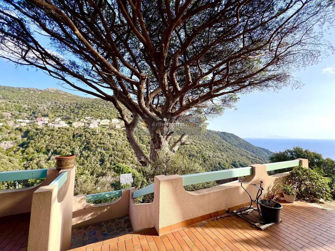 Maison à VILLE-DI-PIETRABUGNO