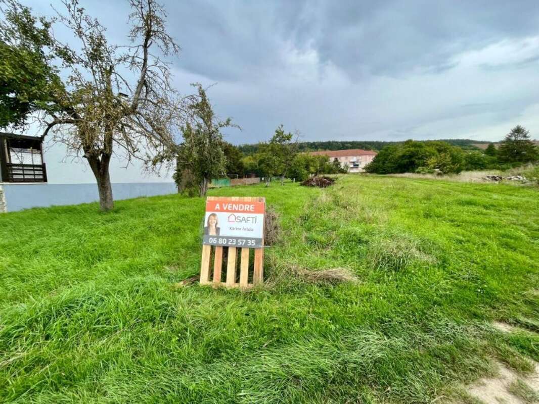 Terrain 2506 m² à Belleville-Sur-Meuse  - photo 3
