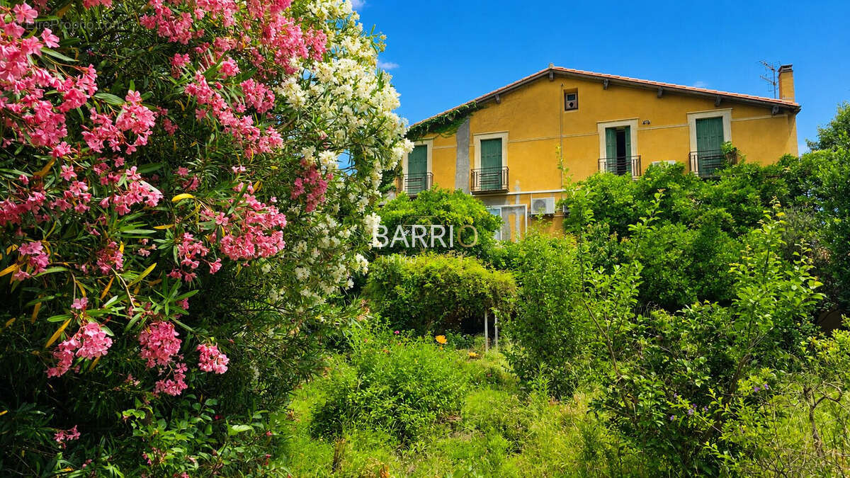 Maison 308 m² à Banyuls-Sur-Mer  - photo 4