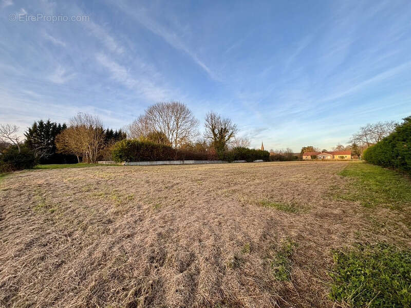 Terrain à TRIE-SUR-BAISE