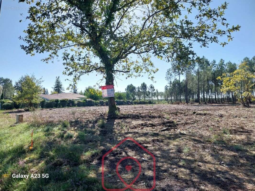 Terrain à PARENTIS-EN-BORN