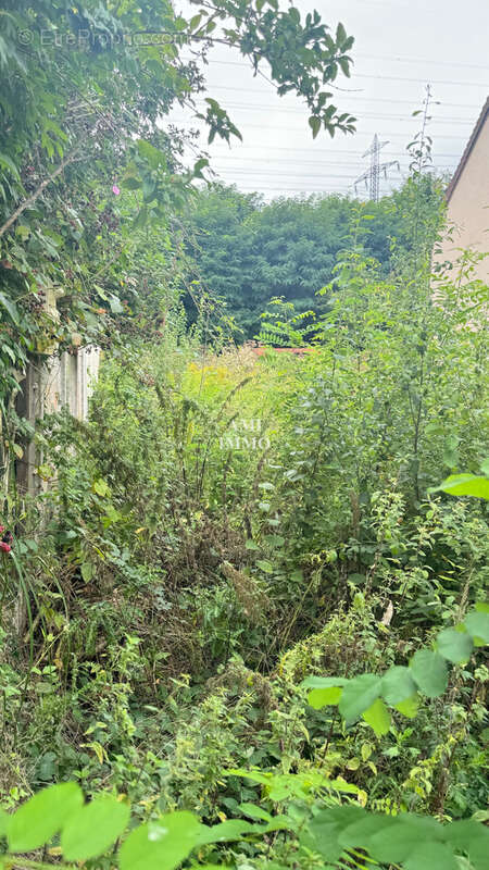 Terrain à IGNY