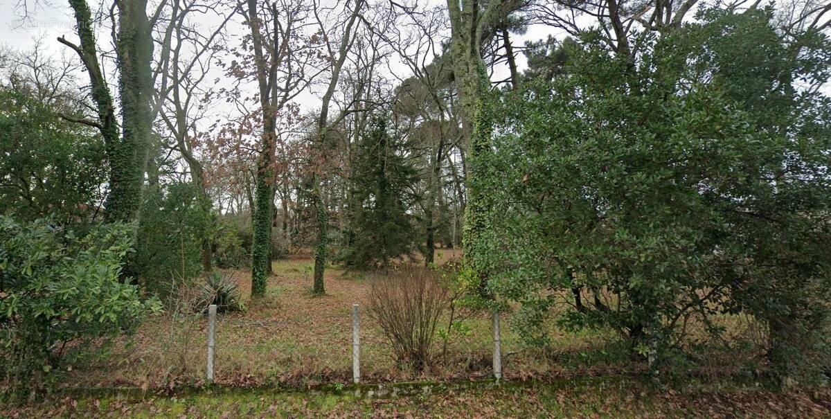 Terrain à GUJAN-MESTRAS