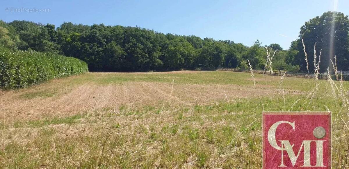 Terrain à SAINT-SULPICE-DE-FAVIERES
