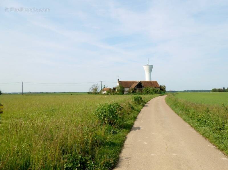 Terrain à LA SELLE-SUR-LE-BIED