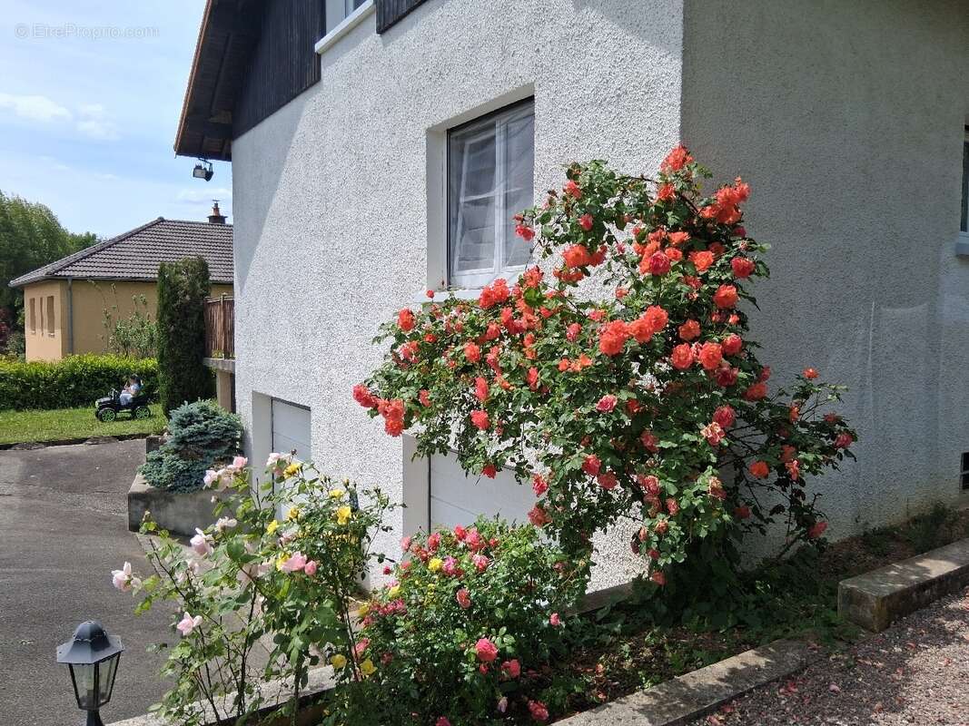 Maison à MONTBELIARD
