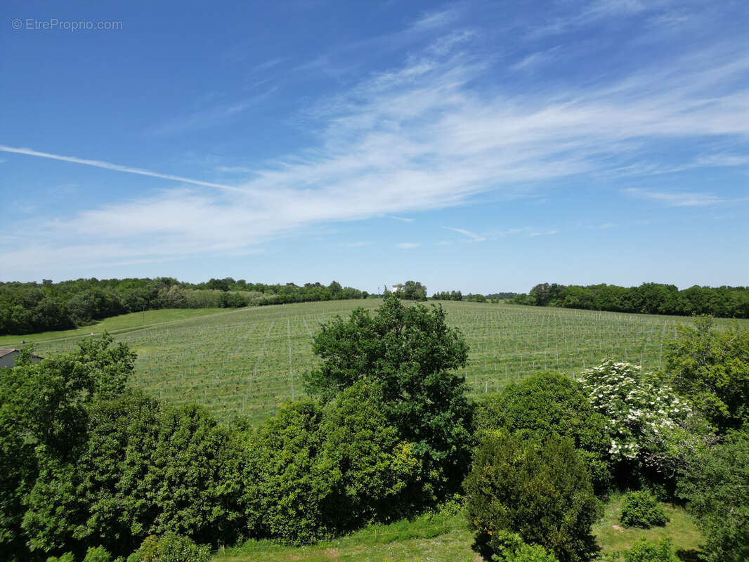 Maison à SAUVETERRE-DE-GUYENNE