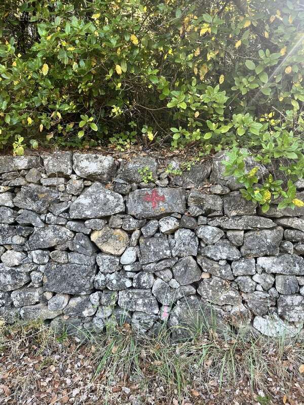 Olivette à Monoblet - photo 12