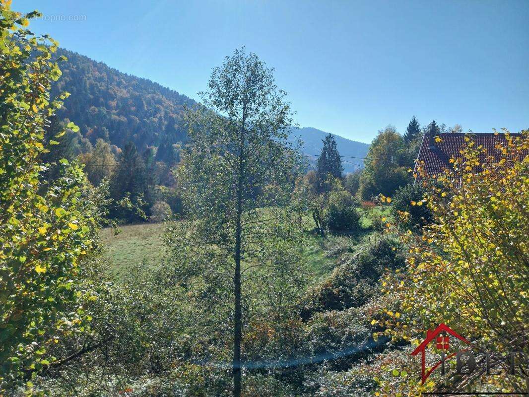 Ferme au coeur des hauteurs   charme, nature et sérénité - photo 16