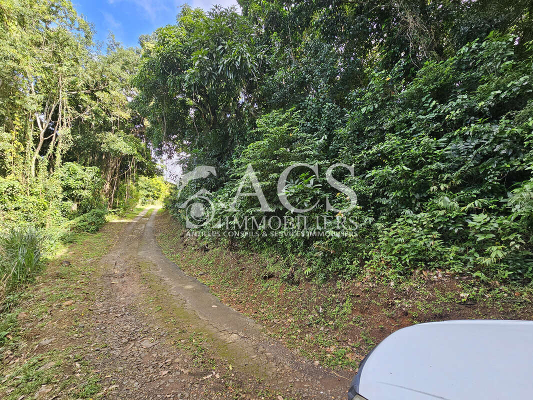 Terrain à bâtir de 20.000 m2 dont 3.500 m2 constructibles - photo 6