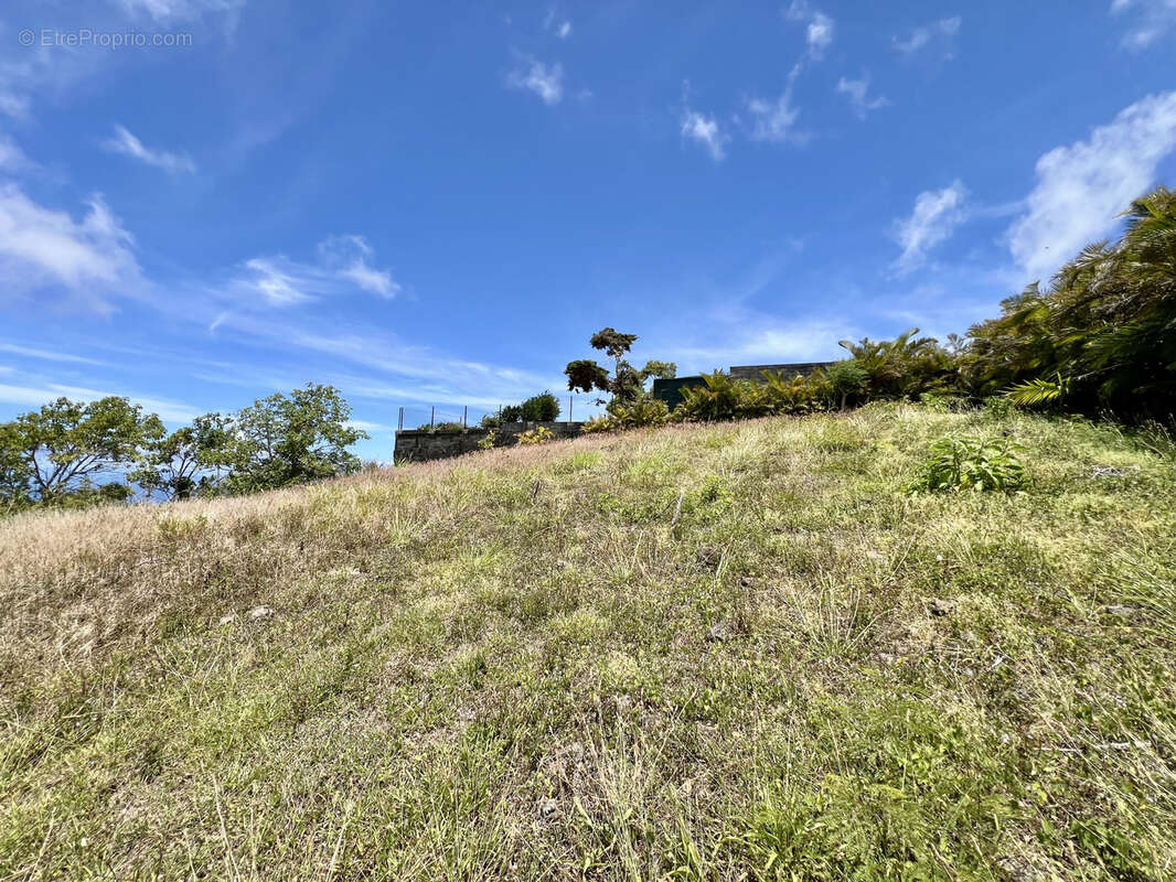 Terrain à SAINT-PIERRE
