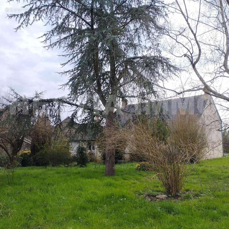 _copie-0_1715764292319 - Maison à CASSON