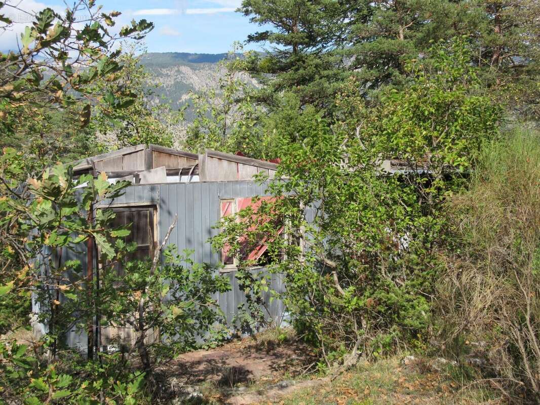 Photo 2 - Terrain à ENTREVAUX