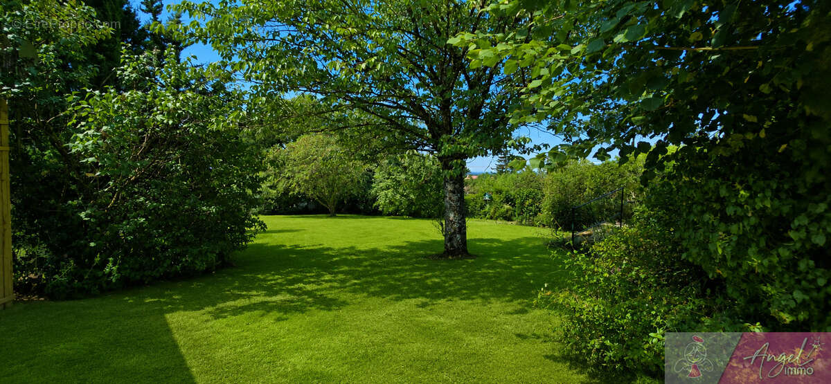 Maison de famille à monnieres - photo 6