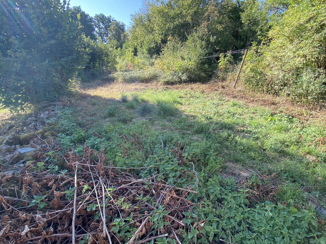 Maison à SAINT-AUBIN-DES-CHAUMES