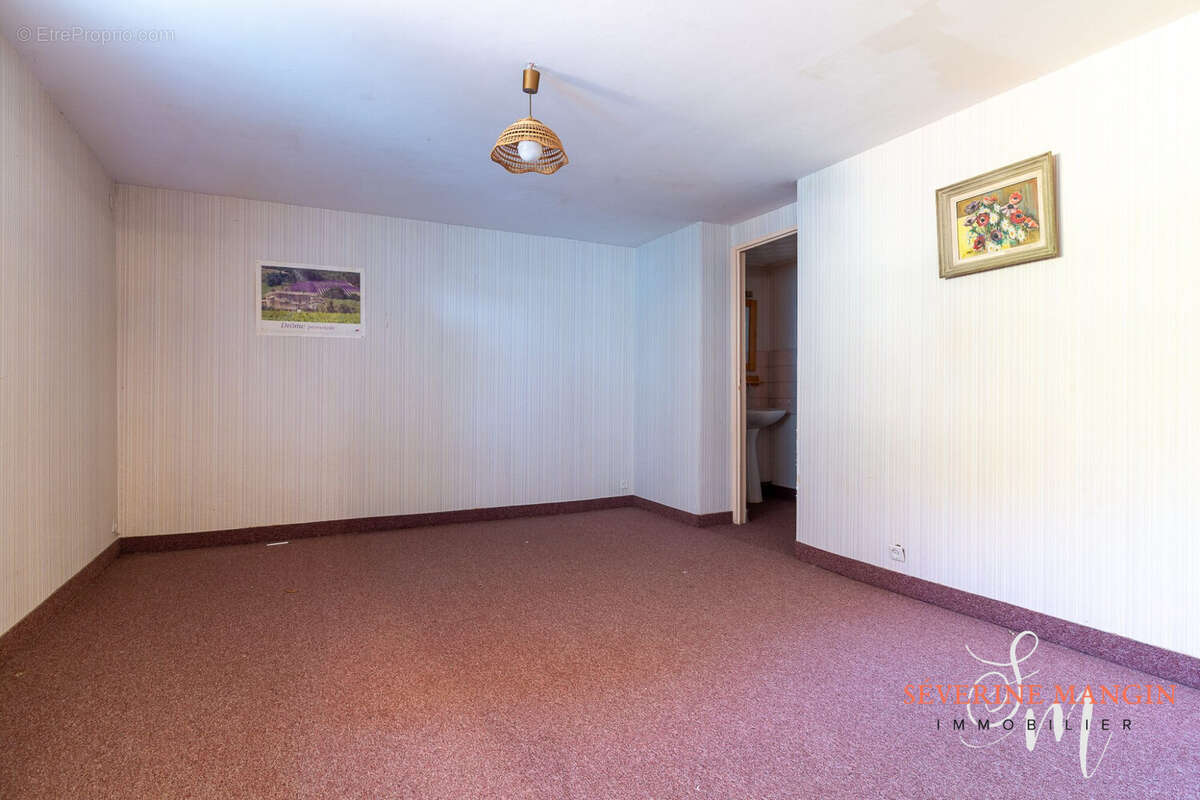 Maison 225 m² à Genissieux  - photo 9