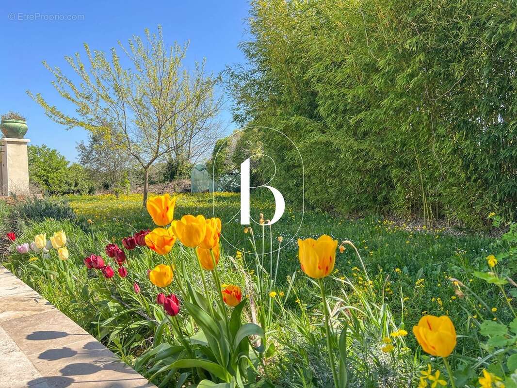 Maison à GOUDARGUES