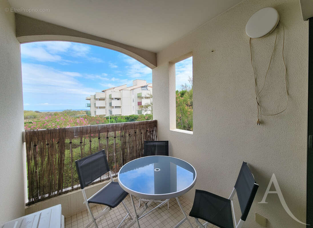 Appartement  bord de plage Saint Cyprien - vue mer - photo 2