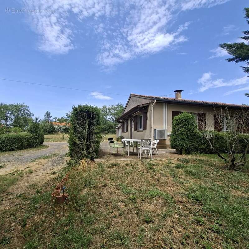 Maison à MONTREDON-LABESSONNIE