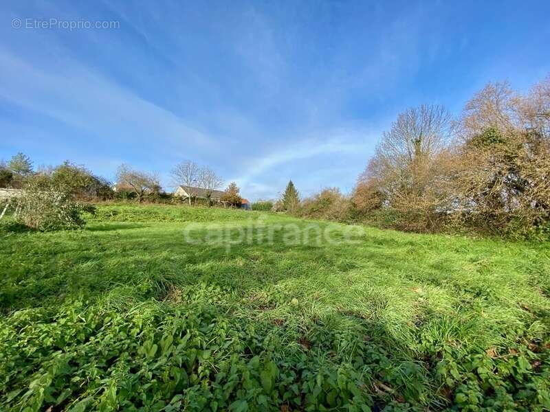 Terrain à QUINSSAINES