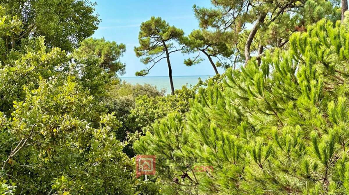 Appartement Vaux Sur Mer 1 pièce(s) 25.61 m2 - photo 5