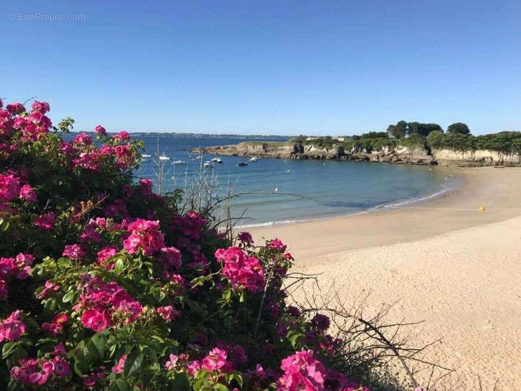 Appartement à PLOEMEUR