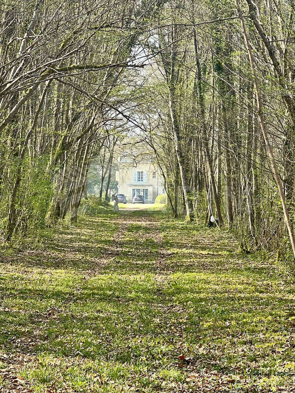 Maison à NOGENT-SUR-VERNISSON
