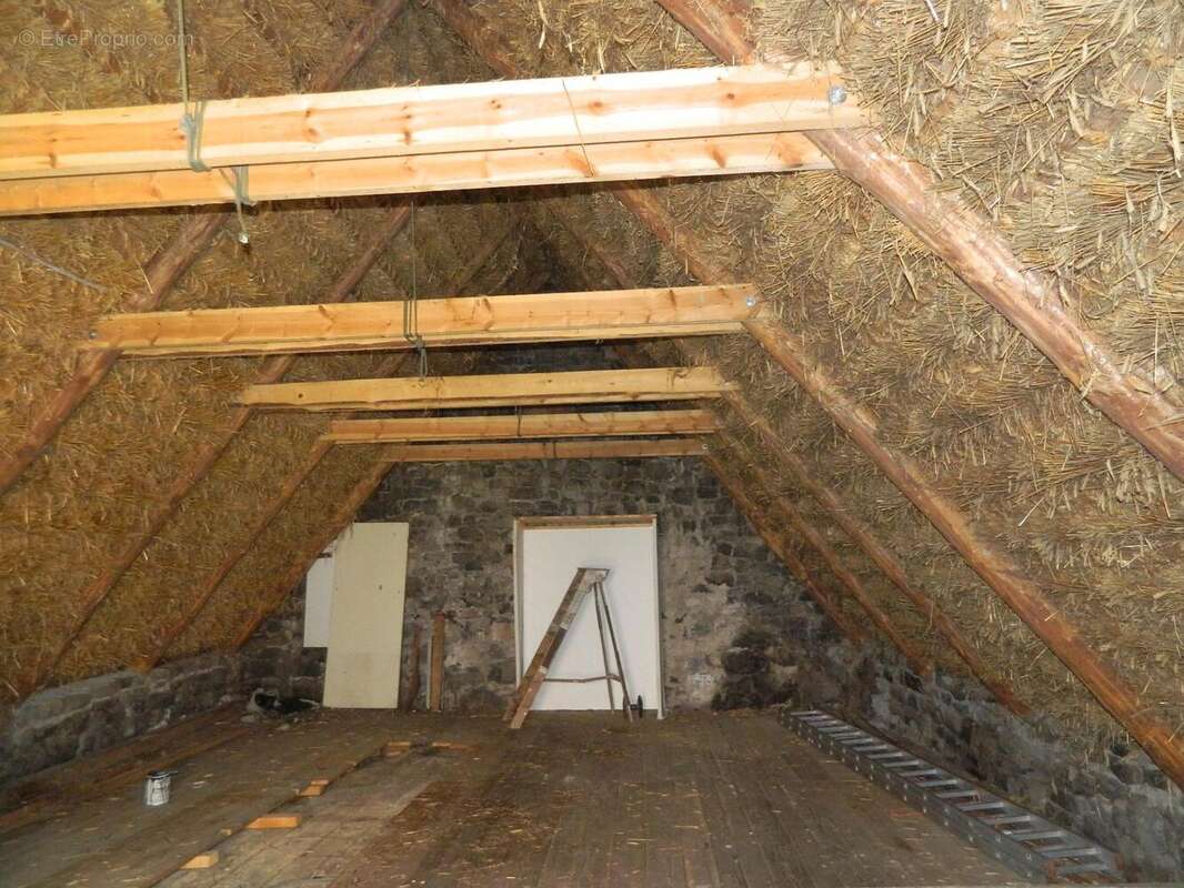 Maison 210 m² à Saint-Front  - photo 8